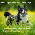Aollywin Squeaky Rubber Dog Ball Toys for Aggressive Chewers