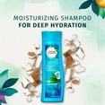 thumbnail image 4 of Herbal Essences Hello Hydration Moisturizing Shampoo with Coconut Essences, 10.1 fl oz, 4 of 7