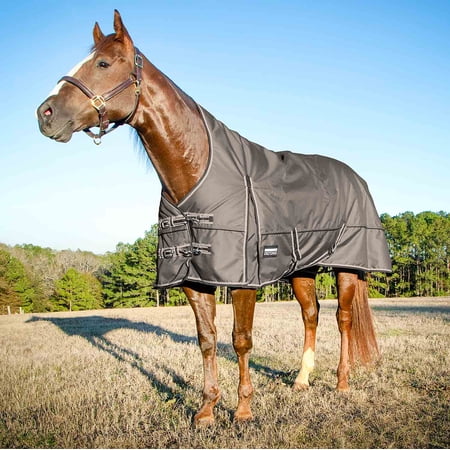 Jeffers Poplar Head Defense 1680 Denier Turnout Blanket with Extended Neck Design Plymouth Brown 72 - 240g Polyfill Waterproof Breathable Horse Blanket Ideal Protection for Winter Medium Weight