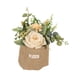 thumbnail image 4 of Florero colgante artificial con bolsa de arpillera, plantas en maceta y estantería. Champán, 4 of 9