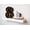White, variant on HIGH & MIGHTY Modern Floating Shelf Holds up to 15lbs, Easy Tool-Free Dry Wall Installation, Flat, eCommerce Packaging, Espresso