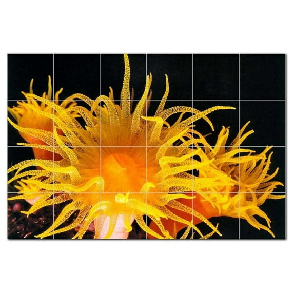 Sealife Photo Ceramic Tile Mural Kitchen Backsplash Bathroom Shower, 405790-XL64