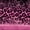 Leopard Print 10, variant on Homewish Purple Cheetah Print Twin Duvet Cover for Girls, Princess Glitters Printed Twin Bedding, Black Reversible, 2 Pieces 1 Duvet Cover and 1 Pillowcase