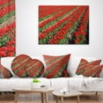 thumbnail image 3 of Designart Rows of Red Tulip Flowers - Floral Throw Pillow - 18x18, 3 of 4