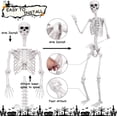 thumbnail image 3 of 7.9 FT Giant Oversized Human Plastic Skeleton Outdoor Decoration Flexible Joints, Standing & Hanging, 3 of 9