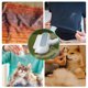 thumbnail image 4 of Cepillo multifuncional para eliminar el pelo de mascotas, pelo de perro y gato, sofás, alfombras y ropa. Reutilizable., 4 of 4