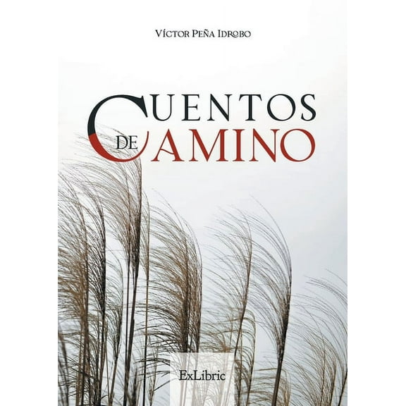 Cuentos de camino (Paperback)