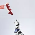 thumbnail image 4 of OULII Jouet pour Chien Peluche Rouge 1Ensemble, 4 of 8
