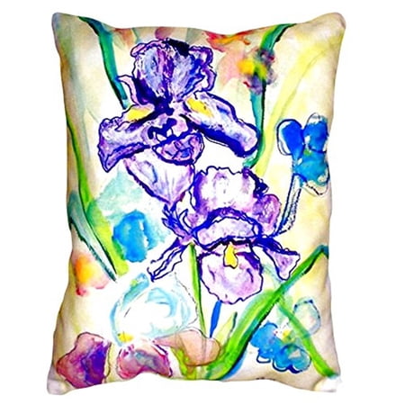 Two Irises No Cord Pillow 16x20