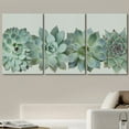 thumbnail image 2 of wall26 Canvas Print Wall Art Set Desert Succulent Variety Closeup Floral Plants Photography Realism Southwest Group Colorful Multicolor Cool for Living Room, Bedroom, Office - 16"x24"x3, 2 of 7
