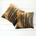 thumbnail image 6 of Ambesonne Nature Throw Pillow Cover 2 Pack, Sunset in Wild Desert, 20", Multicolor, 6 of 7