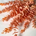 thumbnail image 4 of ZheElen 3pcs/set Wide Artificial Plant Versatile Décor Choice For Any Setting champagne 1Set, 4 of 6