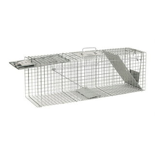 Havahart Large 1-Door Professional Live Animal Cage Trap for Raccoon,  Opossum, Groundhog, and Feral Cat 1079 - The Home Depot