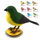 thumbnail image 1 of Control de voz de simulación Pájaro de un solo pájaro clip de dedo correa de reloj pájaro eléctrico, 1 of 5