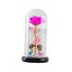 thumbnail image 1 of Flores artificiales Rosa, con cubierta de vidrio, luz LED, artesanías florales, flores preservadas para siempre, flores inmortales para decoración del Rosa roja, 1 of 9