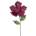 thumbnail image 1 of Mauve Tige de Fleur d'Hibiscus&44; 23 & 8 Po., 1 of 1