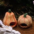 thumbnail image 5 of SUYOLL Pumpkin Creative Aquarium Fish Tank Decor Ornament For Halloween Decorations Pumpkin Fish And House 1-Pack Outdoor Indoor Decal, 5 of 5
