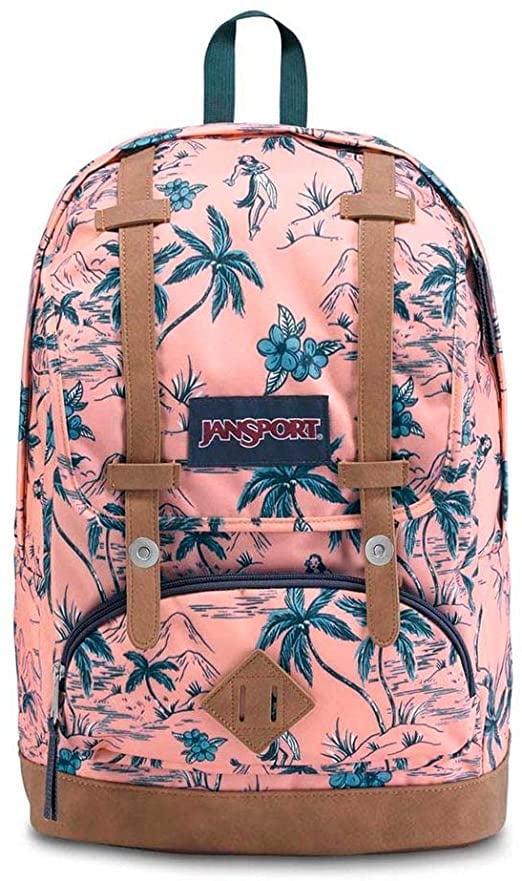 jansport cortlandt backpack