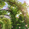 thumbnail image 3 of Metal Garden Arch with Gate 79.5'' Wide x 86.6'' High Climbing Plants Support Rose Arch Outdoor Black, 3 of 26