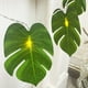thumbnail image 2 of Guirnalda de Luces LED Advancent Hojas de Tortuga 3 m 20 Bombillas, 2 of 6