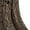 Army Green, variant on Black Womens Tops Women's Crop Top Pleated Square Neck Stretch Basic Vest Shirts for Women