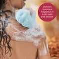 thumbnail image 6 of Bodycology 2-in-1 Body Wash & Bubble Bath, Autumn Roads, 16 fl oz, 6 of 10