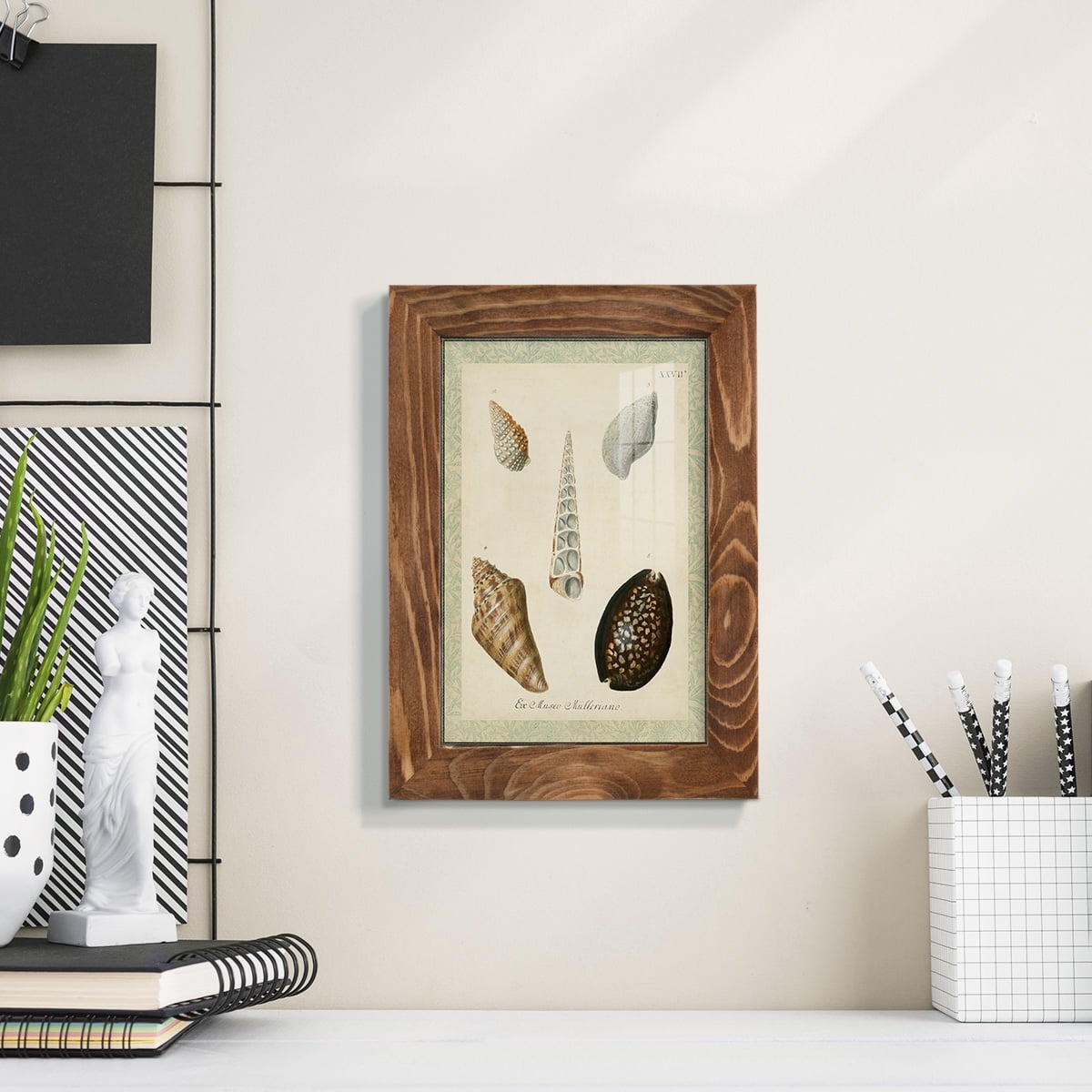 Bookplate Shells IX - Framed Print w/glass - Walnut