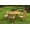 Brown 1, variant on Grade-A Teak Dining Set: 3 Seater 4 Pc: 60" Round Table And 3 Mas Stacking Arm Chairs Outdoor Patio WholesaleTeak #WMDSMSy