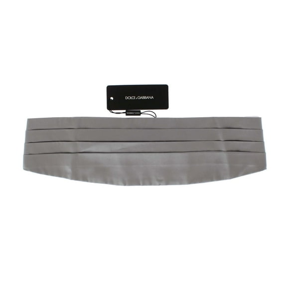 Dolce & Gabbana Silver Wide Belt Silk Cummerbund