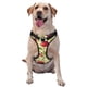 thumbnail image 1 of Fotbe Cherries and Ladybirds Arnés para Perro con Estampado –Chaleco Ajustable Acolchado con Asa de Control para Perros Grandes-Large, 1 of 6