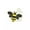 bee1, variant on Cartoon Bee Enamel Piercing Brooch Pin Collar Decor Badge Corsage Jewelry Gift•-cat