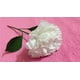 thumbnail image 4 of Papel de seda blanco premium para regalo, 20 x 20, 100 hojas, paquete de 2 (200 hojas en total), 4 of 4