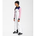thumbnail image 5 of The North Face Teen Freedom Insulated Bib Pant - Youth, 5 of 12