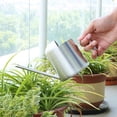 thumbnail image 3 of Regadera de interior al aire libre Macarena Pote de riego para plantas 300ml, 3 of 8