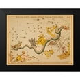thumbnail image 2 of Aspin, Jehoshaphat 14x12 Black Modern Framed Museum Art Print Titled - Noctua, Corvus, Crater, Sextans Uraniae, Hydra, Felis, Lupus, Centaurus, Antlia Pneumatica, Argo Nav, 2 of 5