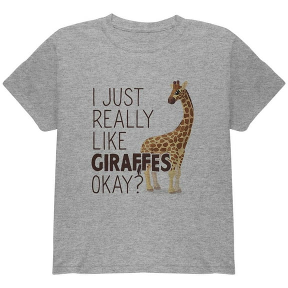 I Just Really Like Giraffes Ok Youth T Shirt Heather YLG