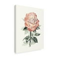 thumbnail image 2 of Trademark Fine Art 'Beholden Rose I' Canvas Art by Grace Popp, 2 of 4
