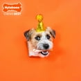 thumbnail image 4 of Nylabone Power Chew Textured Bone Dog Chew Toy 70th Birthday Orange Swirl Chicken X-Small (1 Count), 4 of 16