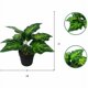 thumbnail image 2 of Planta verde pequeña planta en maceta planta de simulación flor artificial decoración de ventanas decoración del hogar adornos simulación flor planta en maceta (corazón de hadas rojo (verde) ER, 2 of 4