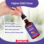 Liquid DMG for Dogs-Immune Health, Skin, Stamina, Muscles, Stress & Performance-Dimethylglycine-4oz