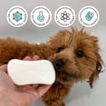 thumbnail image 2 of Pet Evd 5oz Pawsitively Fresh Pet Shampoo Bar Cspk Natl 12/4 CS, 2 of 9