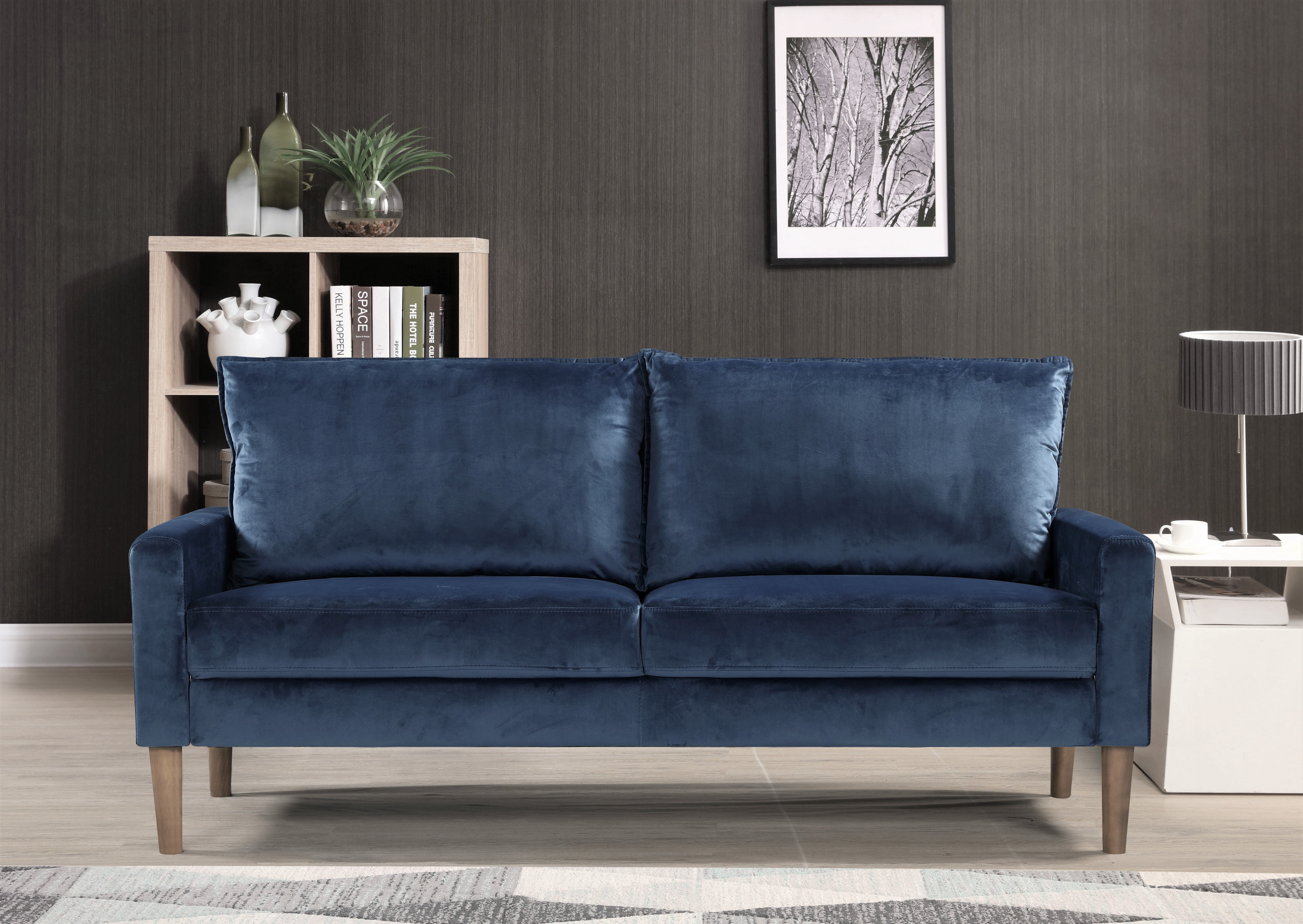 Beily Velvet Square Arm 2 Pieces Living Room Set