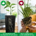 thumbnail image 4 of EBAOKUUP 50pcs Plastic Deep Plant Nursery Pots,11.8”Tall Tree Pots,Black Deep Seedling Container Pots with Drainage Holes for Indoor Outdoor Gardening (3.9" Wx11.8 H), 4 of 7