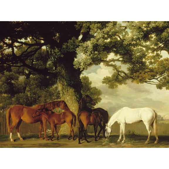 Art.com Green Pastures Art Print by George Stubbs, 16" x 12"
