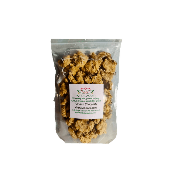 Banana Chocolate Granola Snack Bites