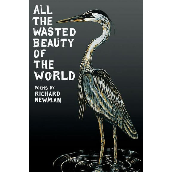 All the Wasted Beauty of the World - Poems (Paperback)