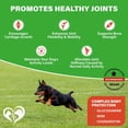 thumbnail image 4 of Dog Hip & Joint Soft Chews with Glucosamine, Chondroitin, MSM & Turmeric – Daily Supplement for Active Dogs, 4 of 10