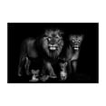 thumbnail image 1 of 5d Black and White Animal Art Diamond Painting Baby Lion Family Cross Stitch Diamond Mosaic Wall Art for Living Room Home Decor50x65cm round Gao Jinjia LED, 1 of 2