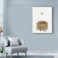 thumbnail image 3 of Trademark Fine Art 'Spring Nest II' Canvas Art by Wild Apple Portfolio, 3 of 3