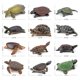 thumbnail image 4 of Figuras de acción de tortuga realistas, figuras de animales de simulación, modelos de vida oceánica, adornos, juguetes para niños, 4 of 6